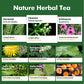 Herbmood Horsetail Lymphatic Drainage Tea Bags for Lymph System Support, Te de Cola de Caballo para Drenaje Linfatico, Cleavers