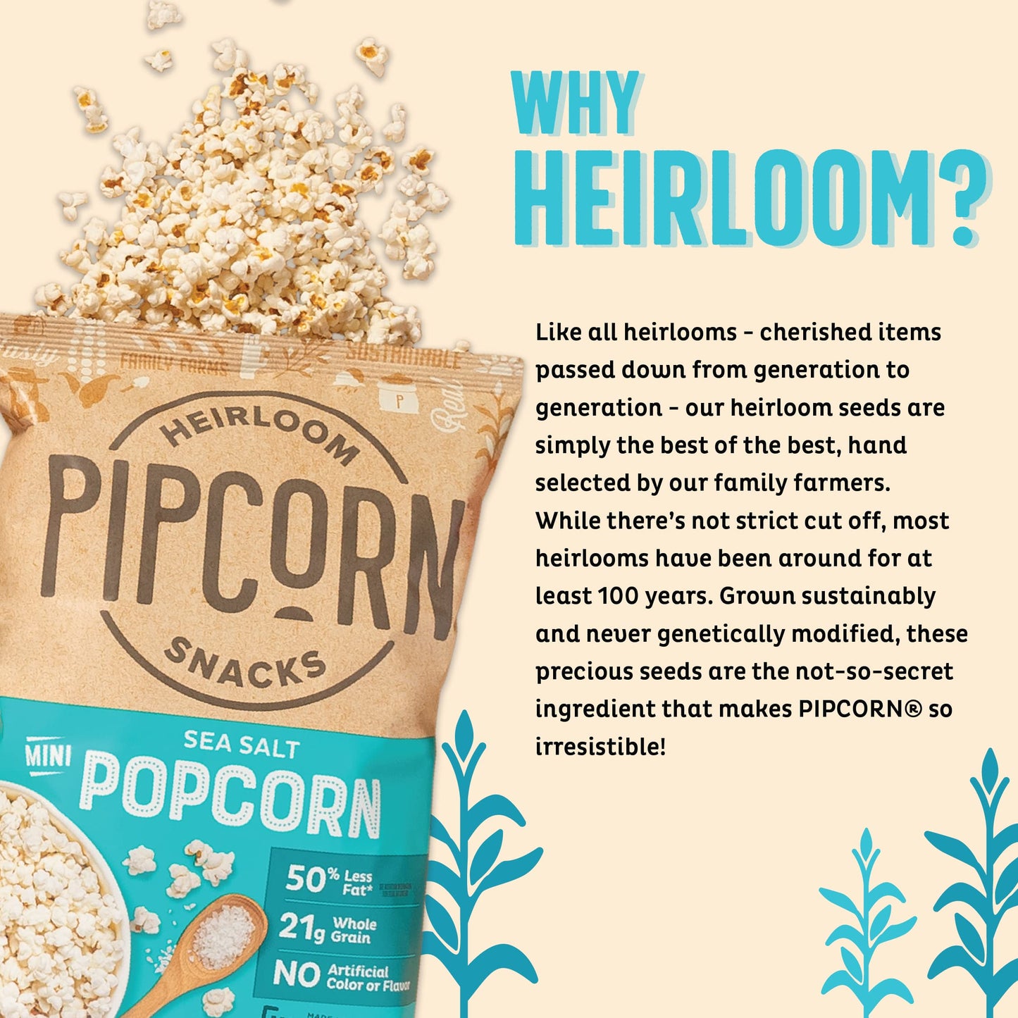 Heirloom Sea Salt Mini Popcorn By Pipcorn - 4.5Oz - Gluten Free Non-Gmo Heirloom Corn Non-Artificial Preservative Free Snacks