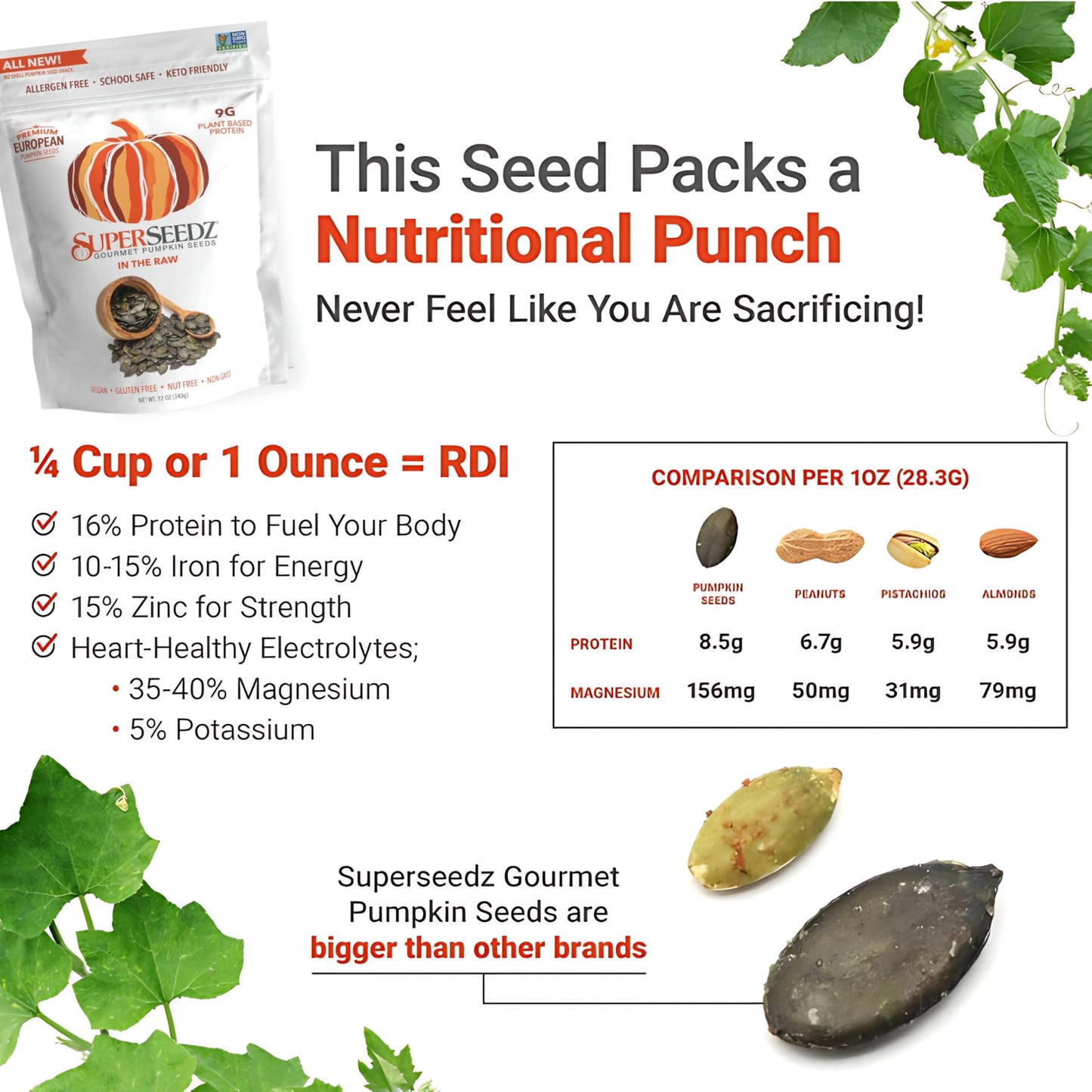SuperSeedz Raw Styrian Pumpkin Seeds, Raw Unsalted Pepitas, 12oz, Vegan, Gluten Free, Nut Free, Plant Based Protein