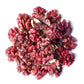 Food To Live California Livermore Red Walnuts, 25 Pounds - Raw, No Shell, Kosher, Unsalted, Natural, Sirtfood, Bulk