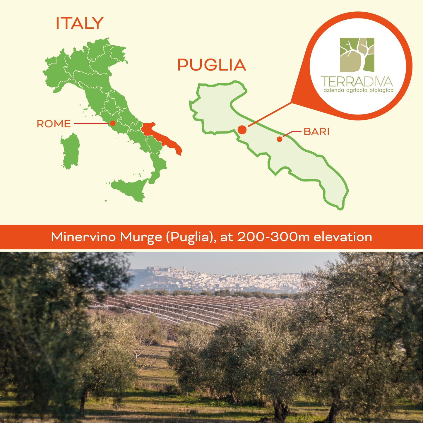 WellEatable Organic Extra Virgin Olive Oil, 16.9 fl oz, High Polyphenol, Early Harvest, Lab Tested, Cold Extracted, Green