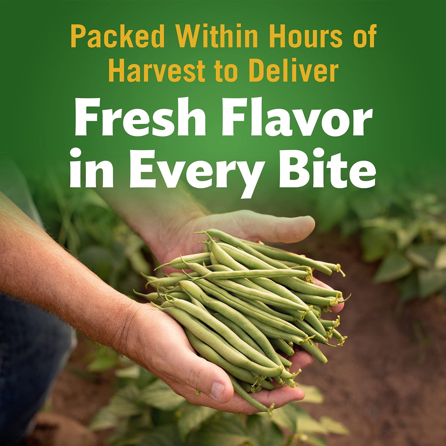 Del Monte FRESH CUT BLUE LAKE Mixed Cut Green Beans, Canned Vegetables, 14.5 Ounce (Pack of 4), 2002160