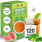 LeafLea Guava Leaf Tea Bags, Caffeine-Free Herbal Tea, 120 Bags, Non-GMO, Supports Digestion & Immune Health
