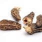 Slofoodgroup Dried Morel Mushrooms Gourmet 0.96 Ounce (Pack of 1) Brown