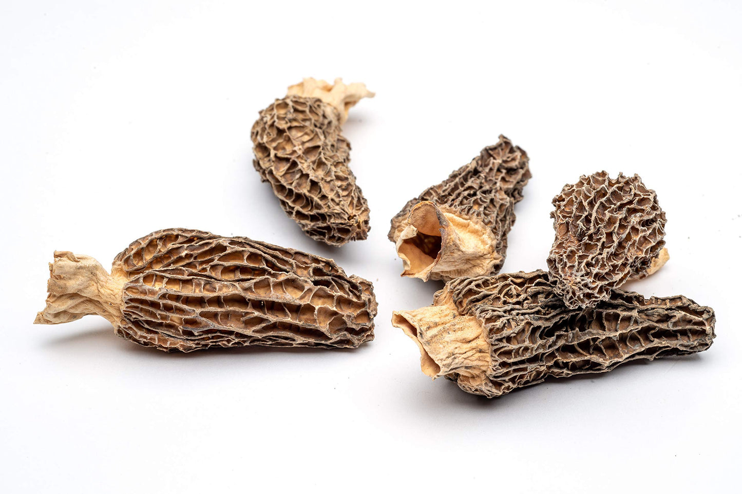 Slofoodgroup Dried Morel Mushrooms Gourmet 0.96 Ounce (Pack of 1) Brown