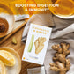 Nutra Tea - Lemongrass & Ginger Tea - 40 Tea Bags - Herbal Tea - (2 Pack)