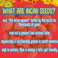 Brass Roots Organic Incan Protein Seeds - High Protein, School Safe, Nut Free, High Omega 3, Supports Gut Health, Good Source Of Fiber, Shark Tank (10 Oz (Pack Of 1), Cajun)