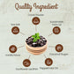 Missy Js Organic Mint Carob Chips 8 Oz 6 Pack | Made With Coconut Sugar Vegan, Gluten And Caffeine Free Healthy Substitute For Chocolate, Perfect For Snacks And  , Personalized Gift