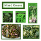 Margaret Holmes Greens Variety Pack - 27 Oz Cans, (Pack of 3) Turnips, Collards, and Mixed Greens