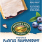 Natures Path Organic Toaster Pastries Frosted Buncha Blueberries 72 count (Pack of 12 11 Oz Boxes)