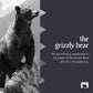 Endangered Species Chocolate Grizzly Natural Dark Chocolate 72% with Raspberries, 3 Ounce Bars, Pack of 12