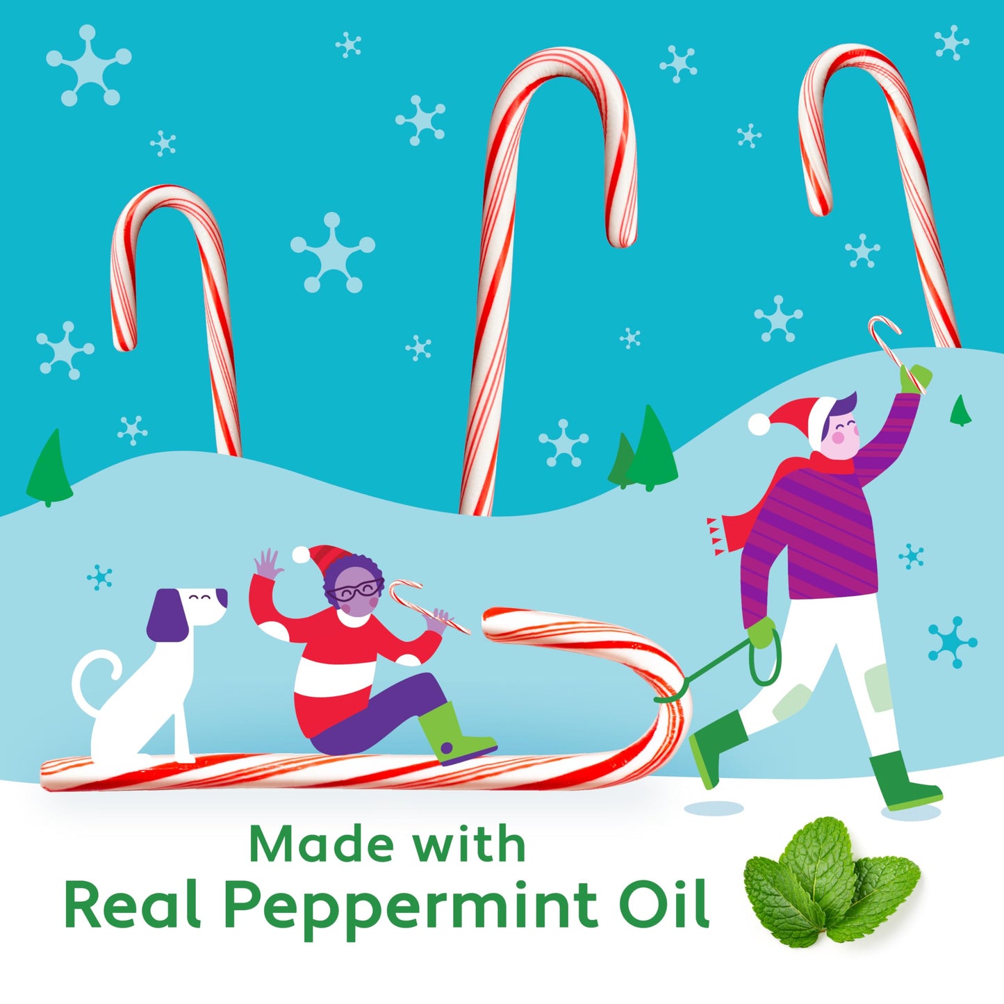 Brach'S Bobs Red & White Mint Canes, Christmas Candy, Stocking Stuffers For Kids, Holiday Classic, 5.3 Oz, 12 Count (Pack Of 1)