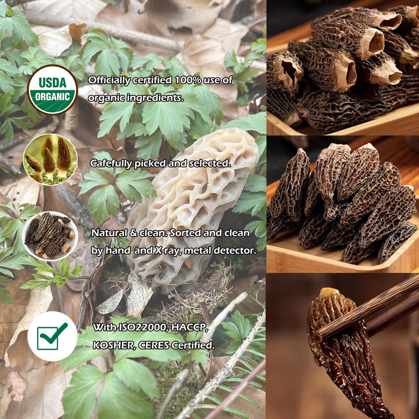 Vigorous Mountains Organic Dried Morel Mushrooms For Cooking, Intact Shapes, Short Stems With Rich Aroma Premium Dry Morels 1.5