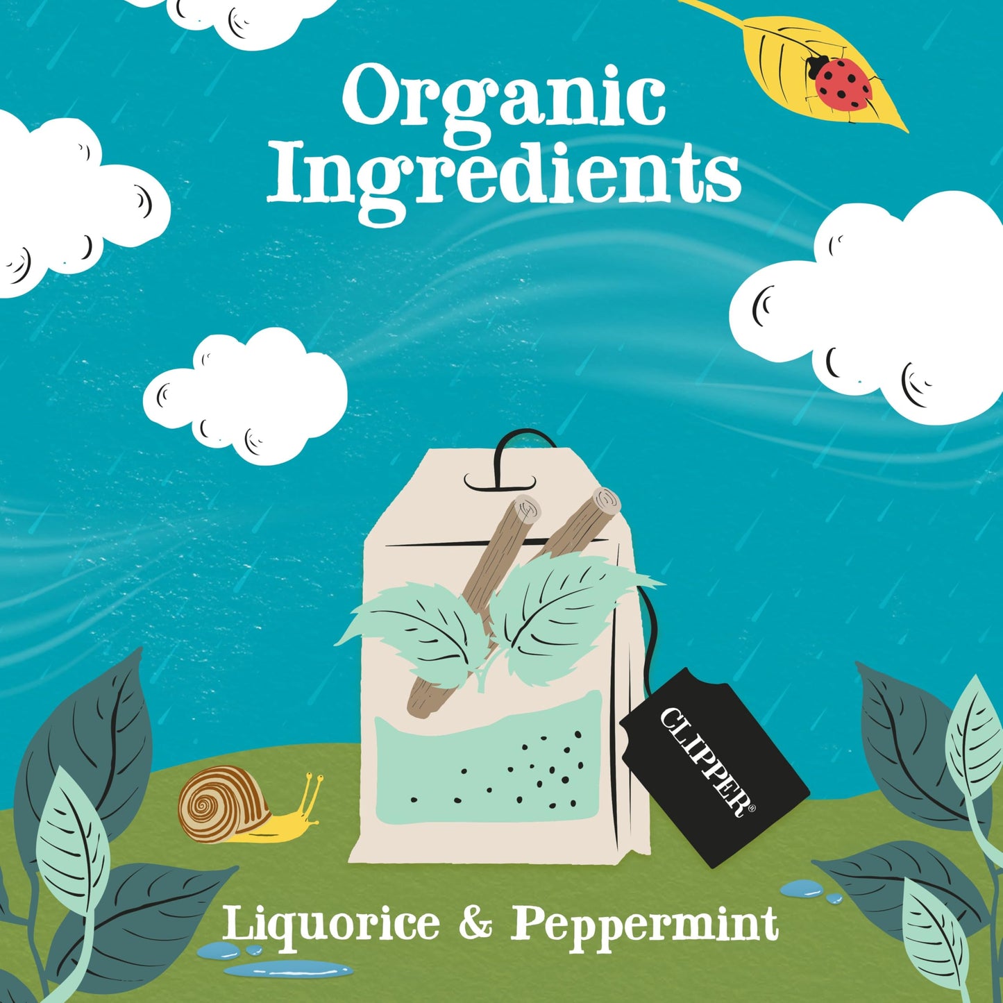 Clipper Tea Peppermint & Licorice Teabags - Caffeine Free, USDA Organic, 200 Count, Great Hot or Iced