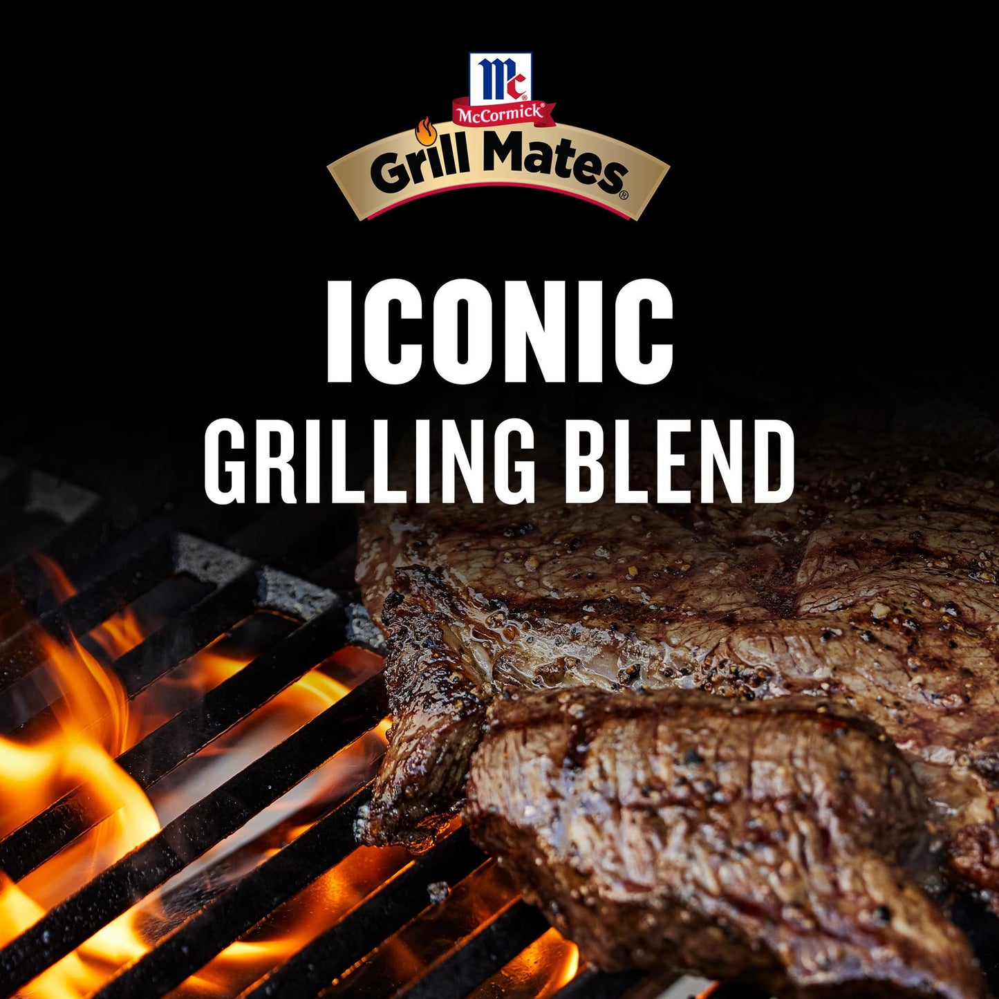 McCormick Grill Mates Mesquite Seasoning, 2.5 oz