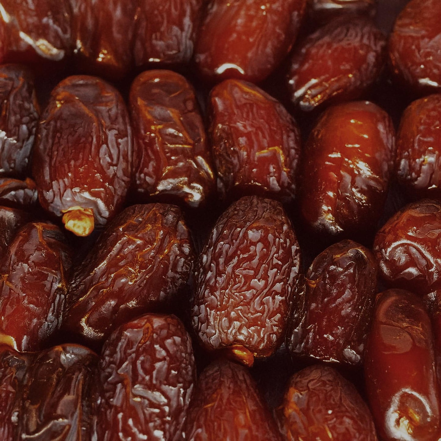 Sahara Gold Organic Medjool Dates - 8 Oz (227 G), Vegan, Gluten-Free, No Sugar Added Great Gift For Friends & Family, Sweet Date