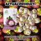 Premium Whole Freeze Dried Tropical Fruits,100% Fruits, Natural 70G (2.5 Oz), Nothing Else Added. (Mangosteen)