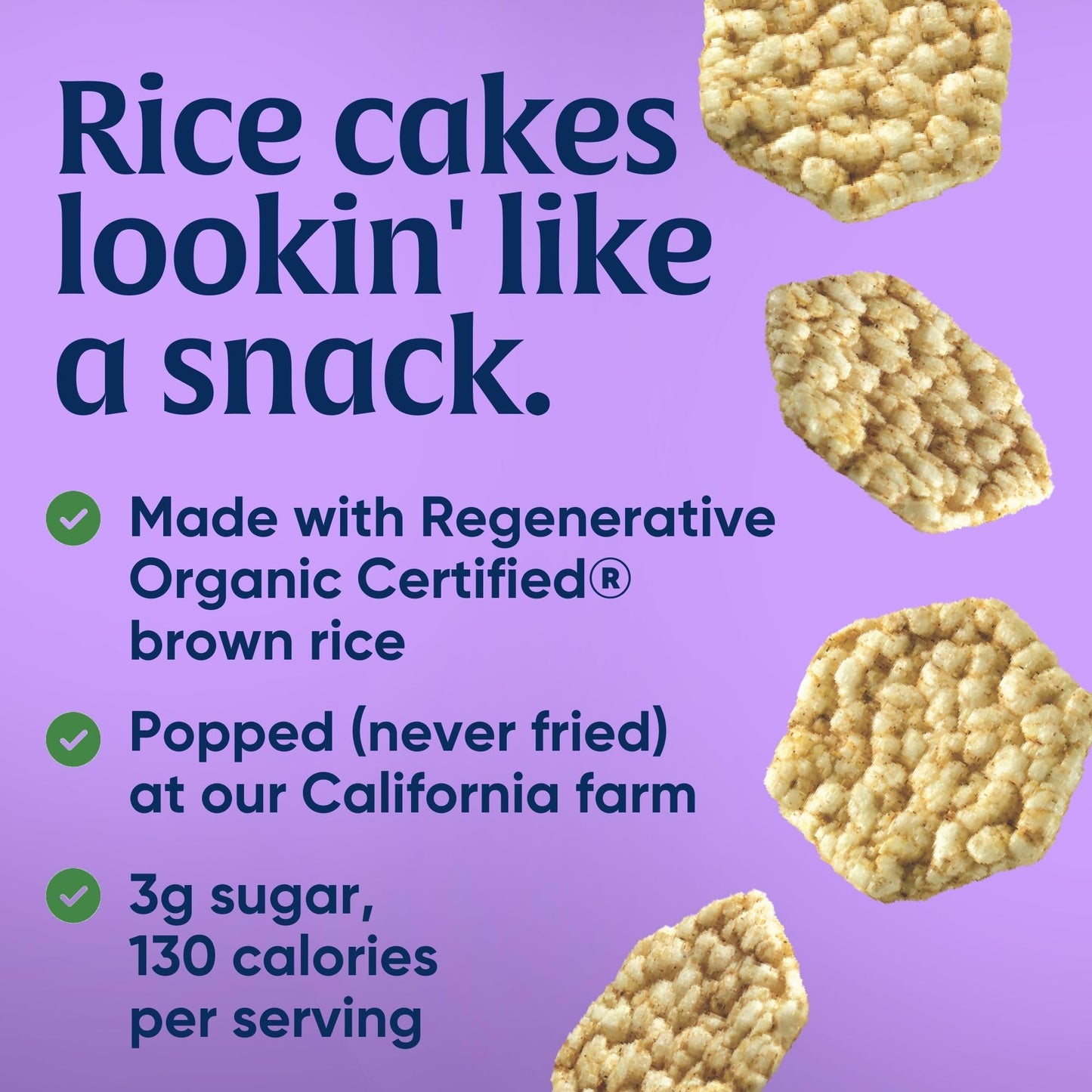 Lundberg Organic Apple Pie Rice Cake Minis Gluten-Free Whole Grain Usda Certified Non-Gmo Project Verified 5 Oz