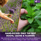 FRESHDRINKUS Lavender Mint Tea, 100% Natural, 35 Tea Bags, Vegan, No Sugar, No Caffeine