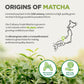 Naturalebio Matcha Powder, 16Oz - Harvested In Japan - Usda Organic Matcha Green Tea Powder - Vegan & Vegetarian Friendly