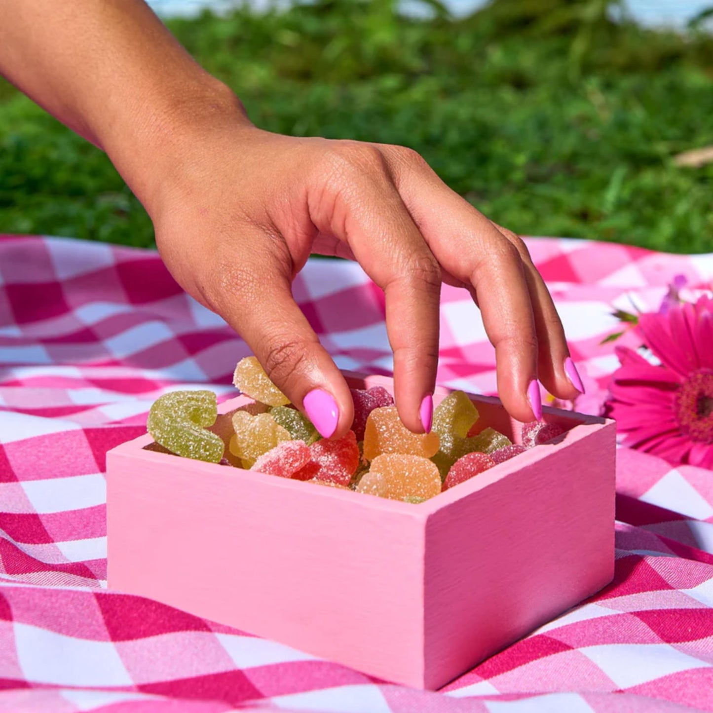 Katjes Plant Based Sour Gummy Candy - Passion Fruit, Orange, Lime, Raspberry & Black Currant Flavored Sour Gummies - Palm Oil Fr