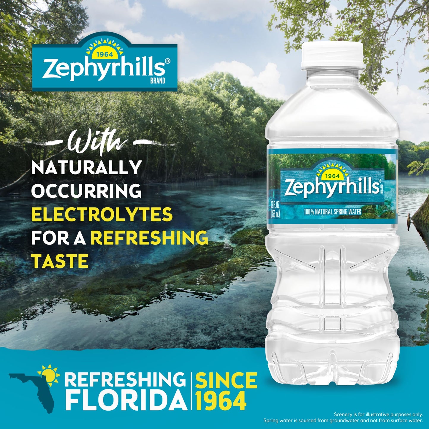Zephyrhills Florida Spring Bottled Water, 12 Pack - Still Drinking Water with Naturally Occurring Minerals for Taste - 12 Fl Oz