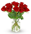 Benchmark Bouquets - 12 Stem Premium Red Roses (Glass Vase Included) - Fresh Flowers for Delivery - Gift for Graduation, Birthda