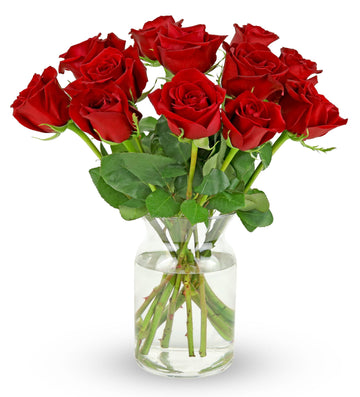 Benchmark Bouquets - 12 Stem Premium Red Roses (Glass Vase Included) - Fresh Flowers for Delivery - Gift for Graduation, Birthda