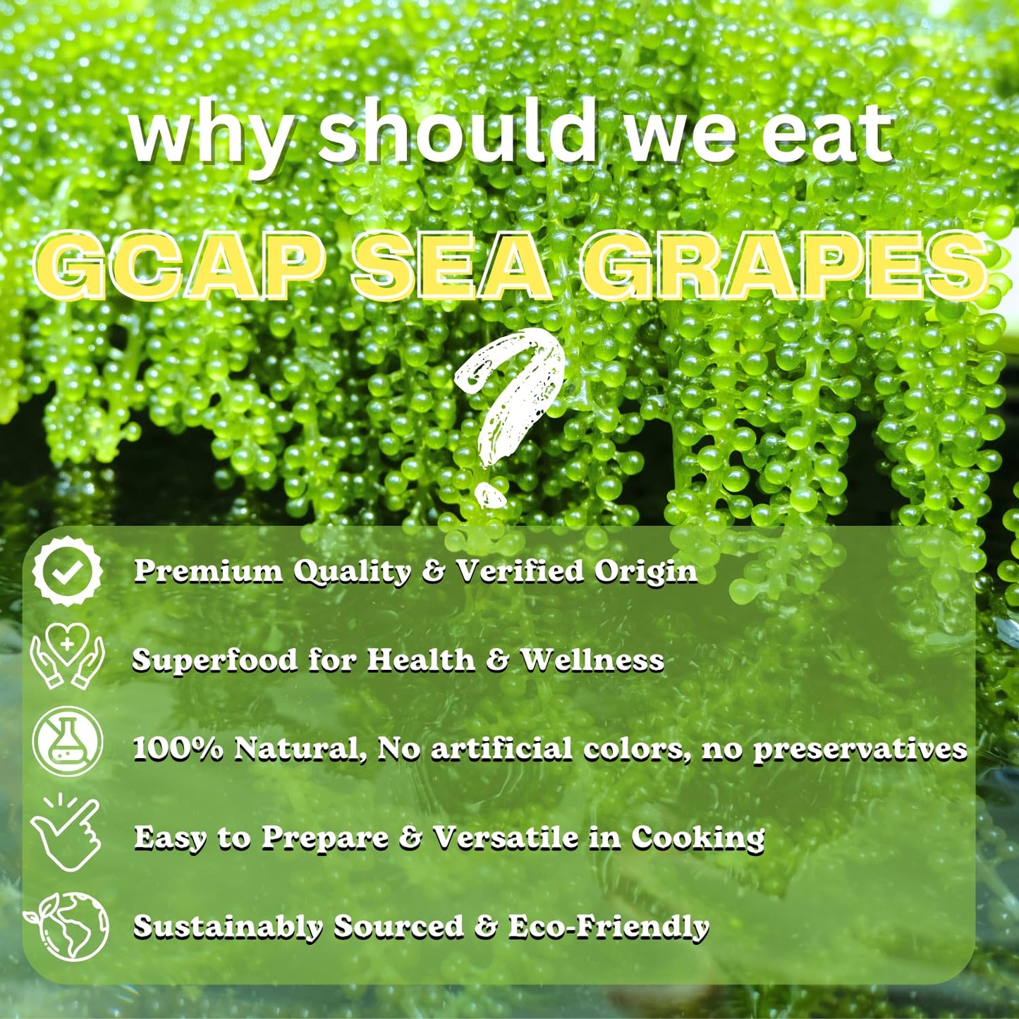 GCAP Sea G s Dehydrated Umibudo Sea  Superfood 200g (10 Packs) – Vegan, Gluten-Free, Ready to Rehydrate