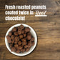 Double Dipped Peanuts Milk Chocolate Covered Peanuts (1 Pound) Wholesale Bulk Candy, Snack Nuts