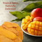 Low Sugar Added SPICY Dried Mango Slices 32 Oz - Delicious Texture Soft & Juicy Low Sugar Added Dried Mango - Naturally Ripened