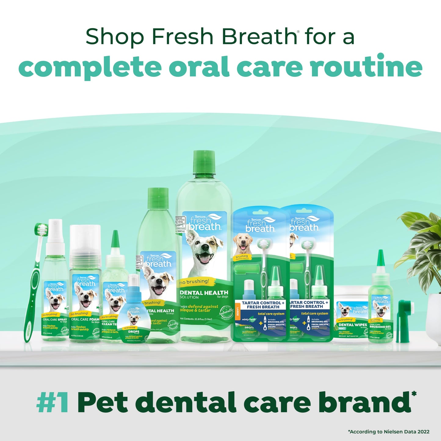 Tropiclean Fresh Breath Dental Foam Spray For Dogs & Cats | Quick Breath Freshener And Teeth Cleaning Solution | Made In The Usa | 4.5Oz.