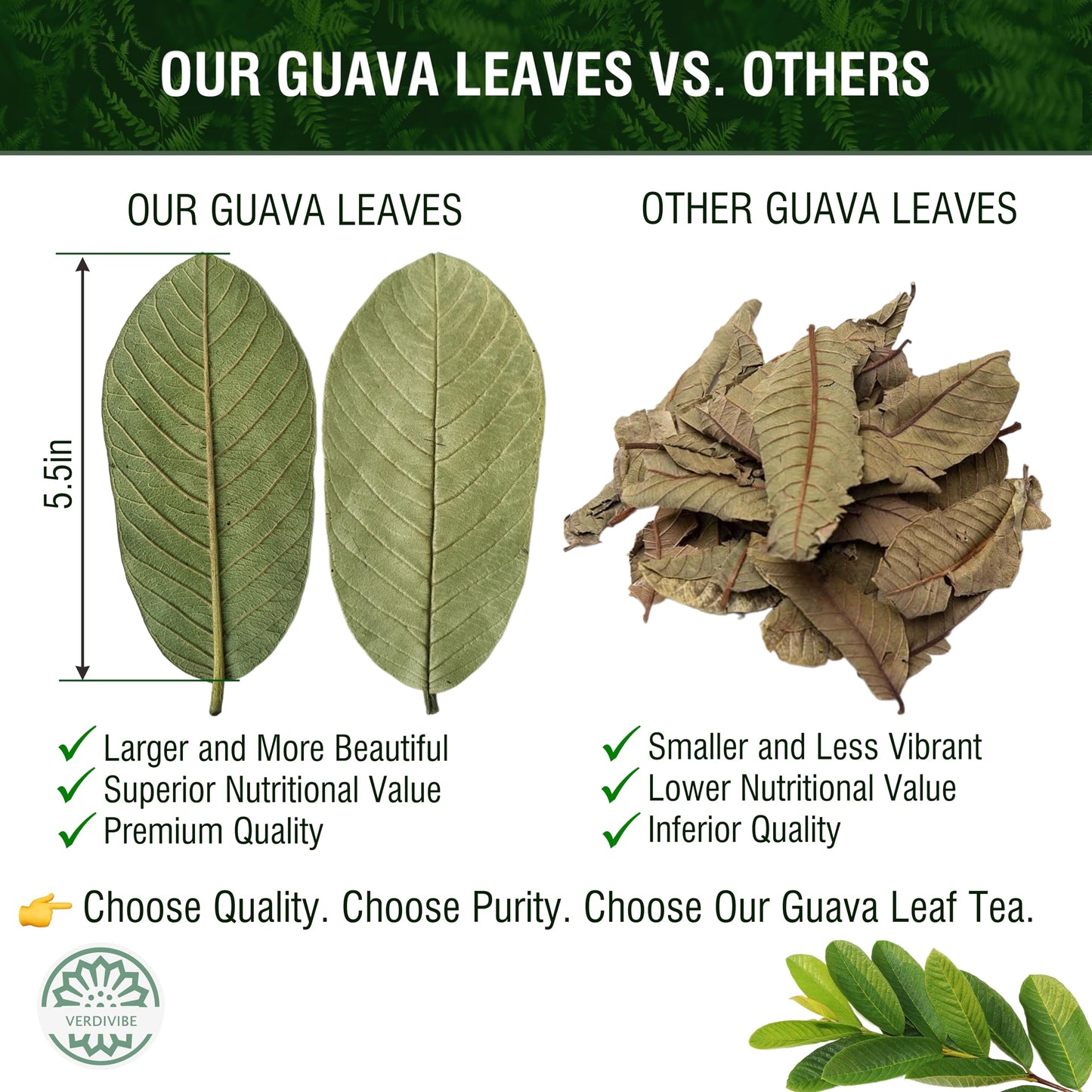 Premium Guava Leaves Tea Bags - Cold-Dried For Maximum Freshness And Nutrient Retention - 45 Hojas De Guayaba Leaf Tea Bags (45,