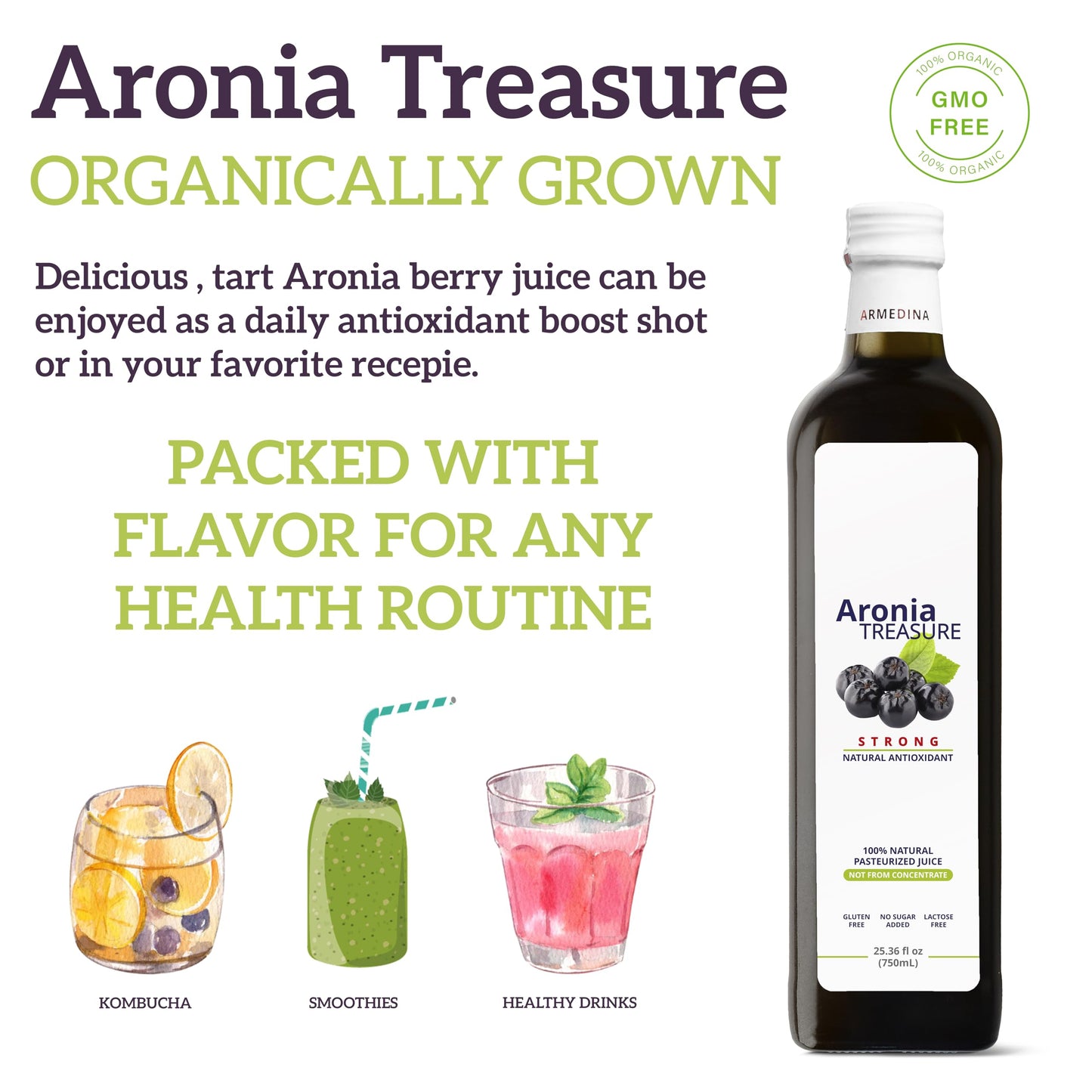 [Aronia Treasure] 100% Aronia Berry Juice: Rich In Antioxidants, Gluten-Free, Vegan, Not From Concentrate, Made From Premium Aro