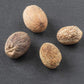 Spicy World Whole Nutmeg 1.75 Ounce (50g) - Pure, Non-GMO, All Natural, Vegan