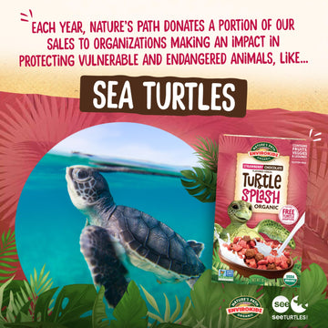 EnviroKidz Organic Turtle Splash Cereal, 10 oz (Pack of 1), Strawberry & Chocolate, Gluten Free, Non-GMO, Fair Trade, by Nature