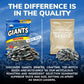 GIANTS Original Salted Jumbo Sized Sunflower Seeds 5.75-Ounce Bags (Pack of 12)