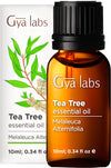 Gya Labs Pure Australian Tea Tree Oil For Skin, Hair, Face & Toenails (0.34 Fl Oz) - 100% Therapeutic Natural Melaleuca Tea Tree