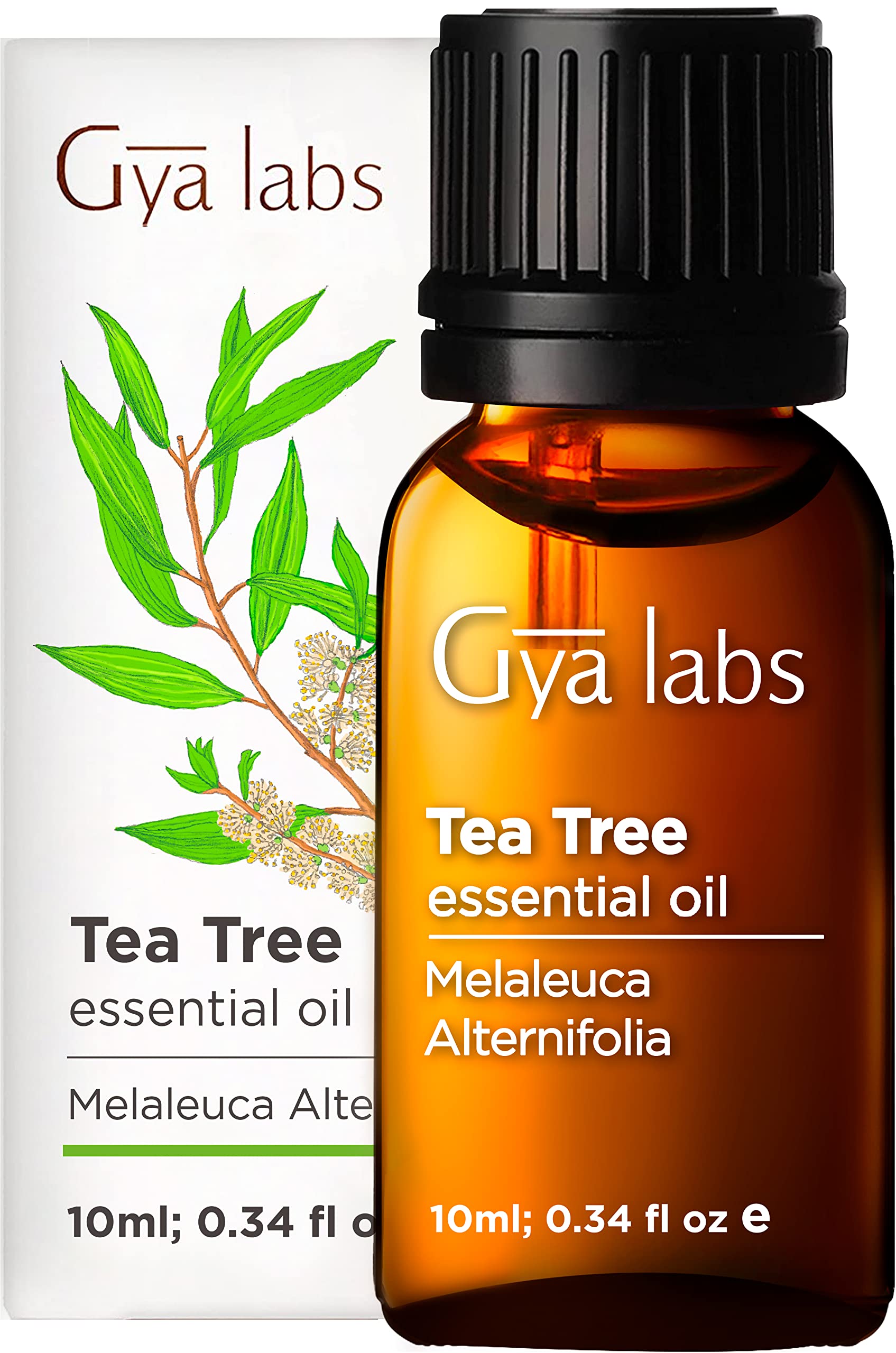 Gya Labs Pure Australian Tea Tree Oil For Skin, Hair, Face & Toenails (0.34 Fl Oz) - 100% Therapeutic Natural Melaleuca Tea Tree