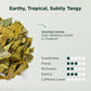 Tea Facto Body Renew* Soursop Tea Bags - Natural Refreshing Soursop Tea With Guanabana Whole Leaves - 50 Bulk Pack
