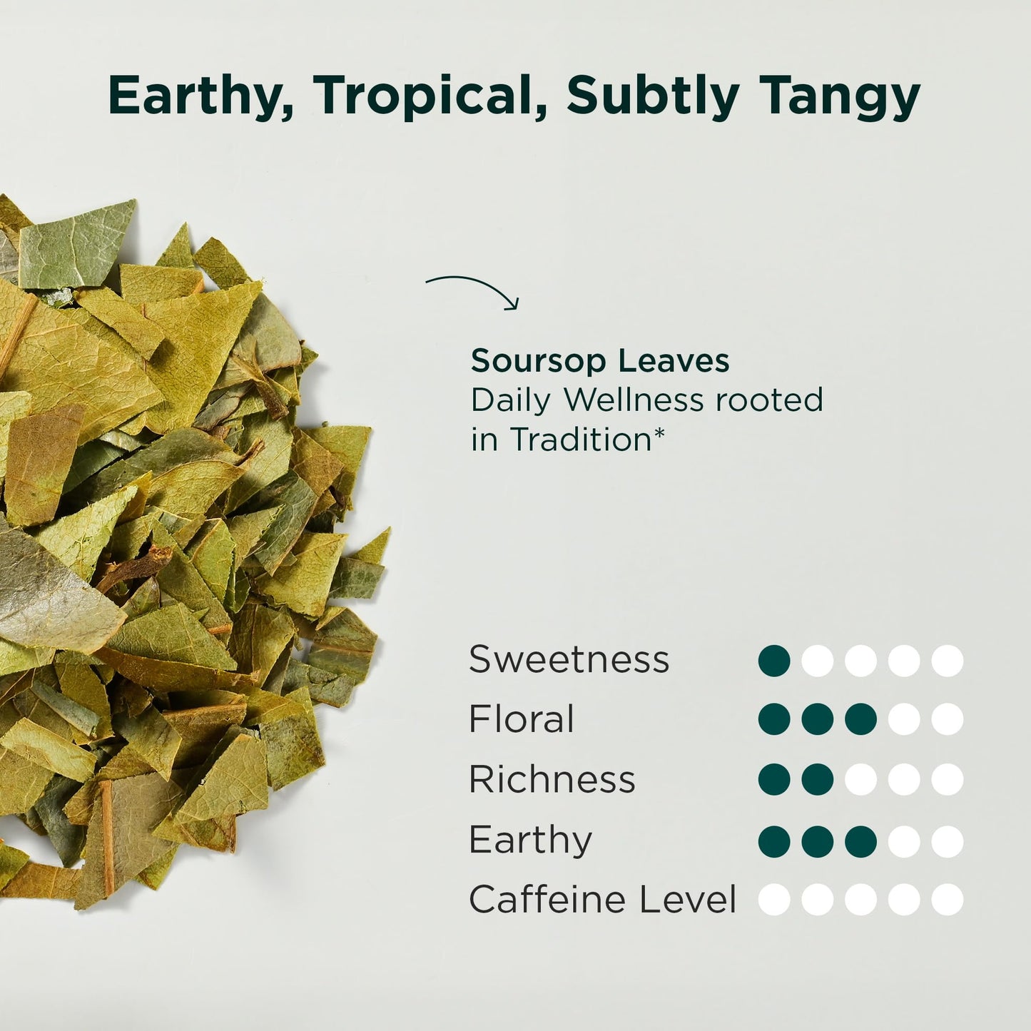 Tea Facto Body Renew* Soursop Tea Bags - Natural Refreshing Soursop Tea With Guanabana Whole Leaves - 50 Bulk Pack