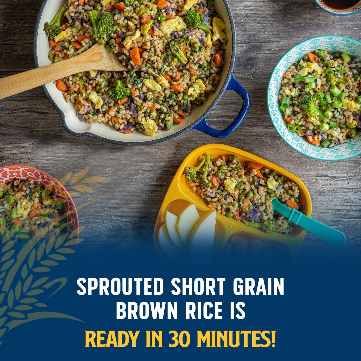 Lundberg Family Farms Sprouted Short Brown Rice, 16 Ounce (Pack of 1)