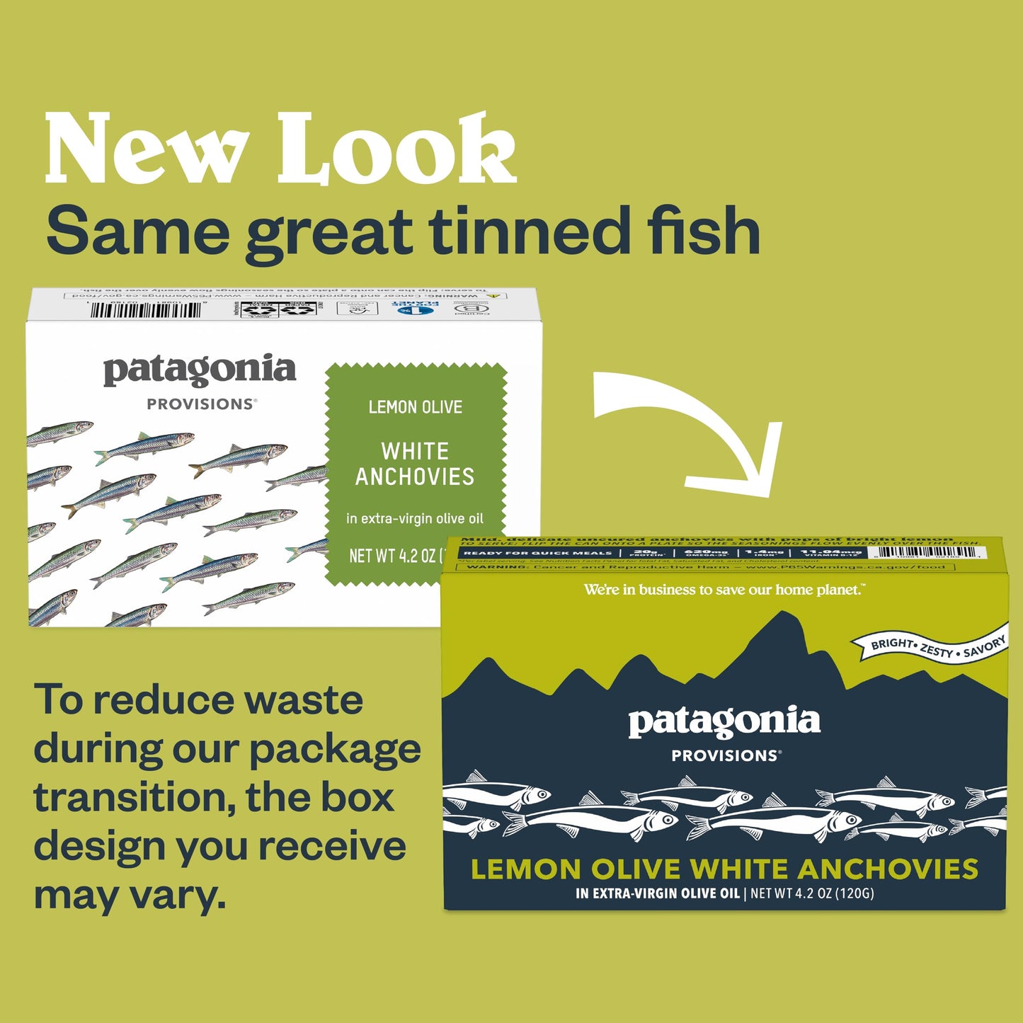 Patagonia Provisions Lemon Olive White Anchovies | Responsibly Sourced In Spain | 20G Protein & Gluten Free | 4.2 Ounce (Pack Of