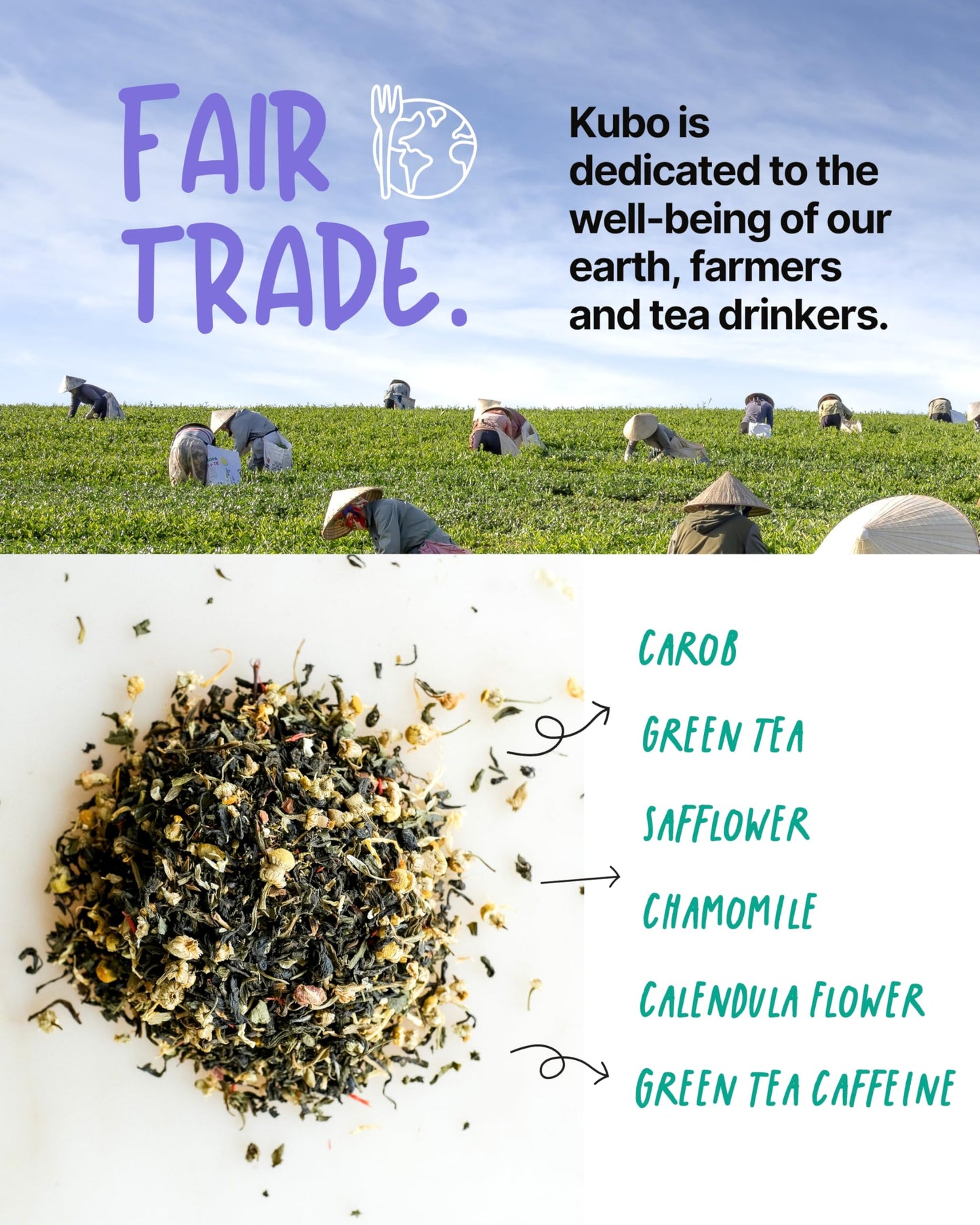 High Caffeine Tea (155 Mg) - Kubo Tea: Organic Tropical Green Tea Bags For Clean Energy & Focus | Healthy Coffee Substitute | Refreshing Caffeine Blend | 20 Ct | Compostable Packaging