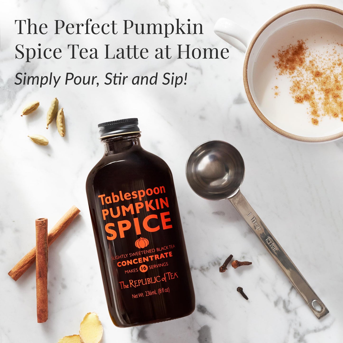 The Republic of Tea Pumpkin Spice Black Tea Concentrate, 8 fl oz - 16 Servings