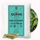 Akshit Organic Guava Leaves Tea, Dried, Caffeine-Free, 2.6oz (Pack of 2)