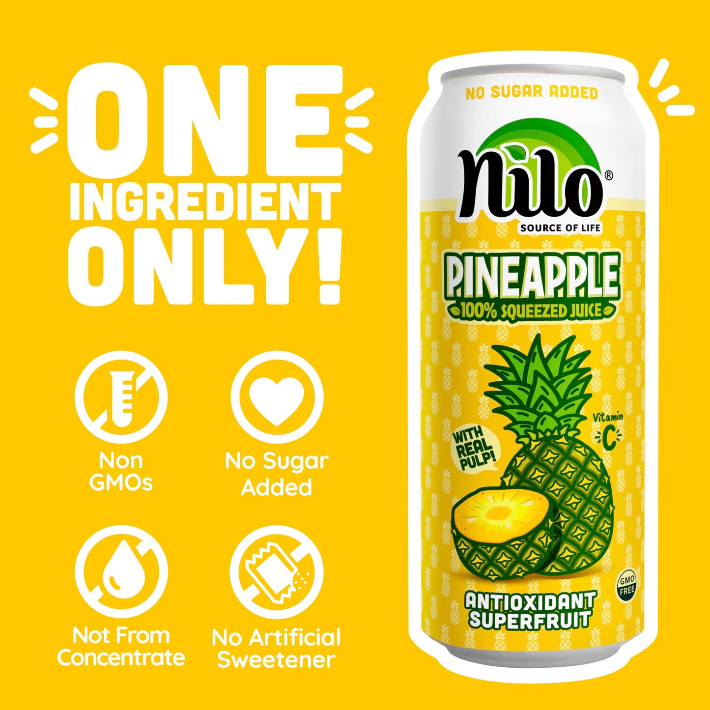 NILO Pineapple Juice | 100% Squeezed | No Sugar Added | Not From Concentrate | 16.57 oz (Pack of 12)