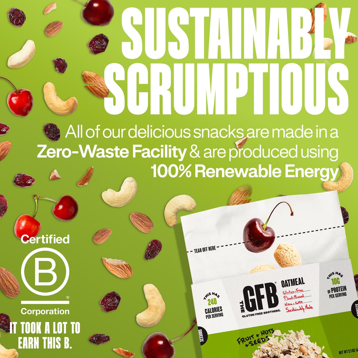 The Gluten Free Brothers Protein Oatmeal Cups - Gluten Free Fruit, Nuts And Seeds Oatmeal Pouches - Instant Hot Breakfast Cereal
