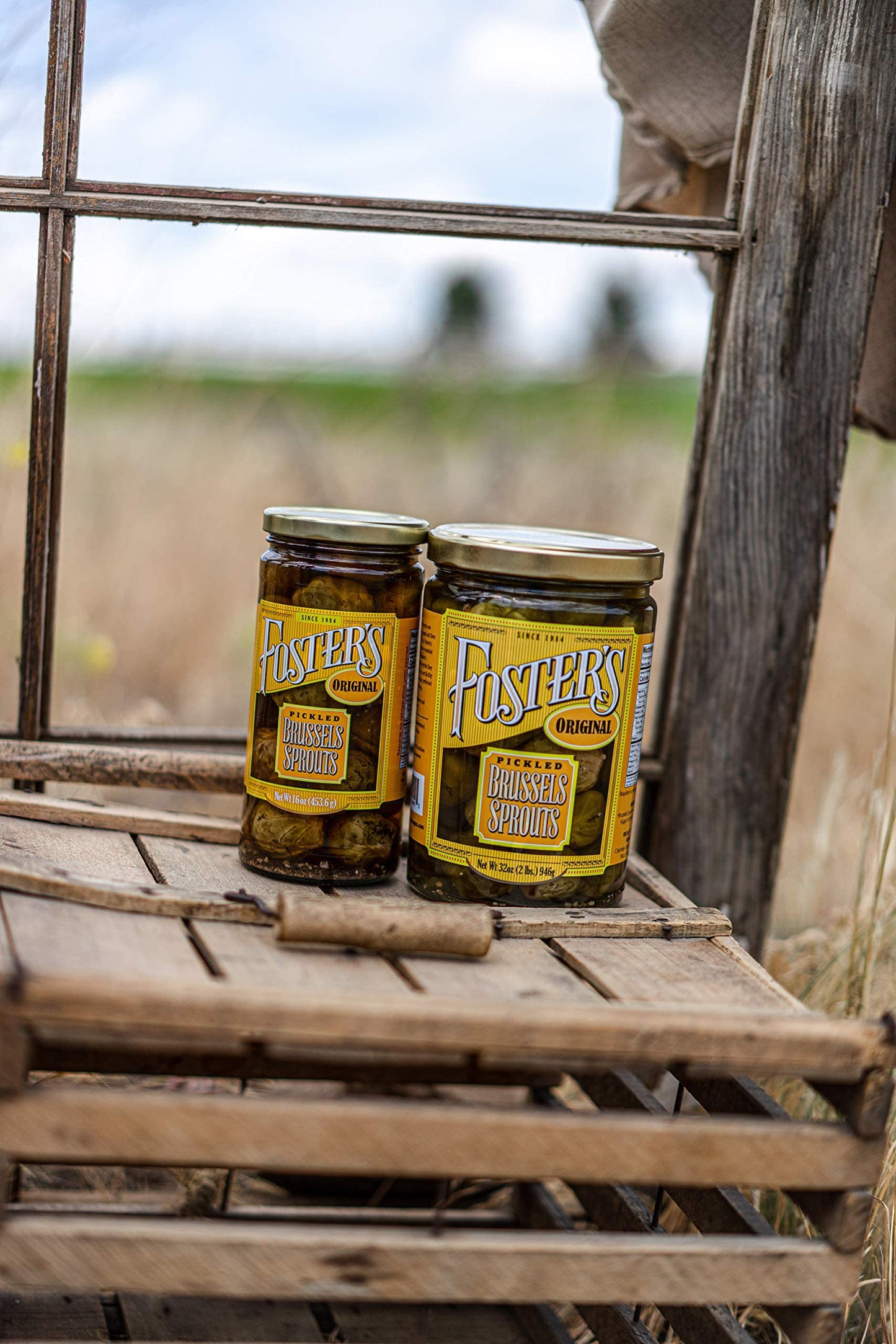 Foster's Pickled Brussel Sprouts - Original 16oz (3 Pack) - Gluten Free, Fat Free, Preservative Free, Organic Recipe