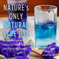 Picknature Butterfly Pea Flower Tea Loose Leaf Freshly Picked From Thailand | 3.5 Oz (300+ Cups) | Herbal Blue Tea Gifts | Usda Organic